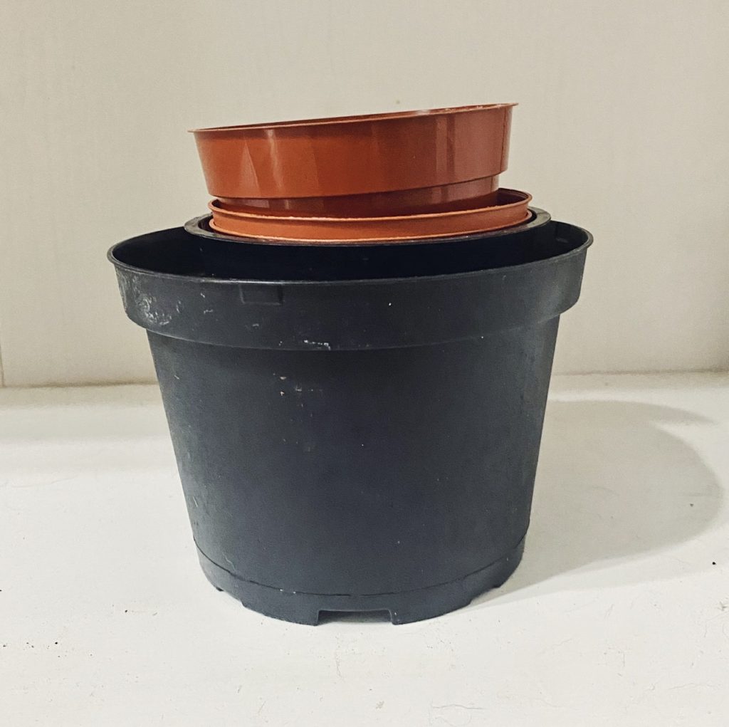 Nursery Plant pots