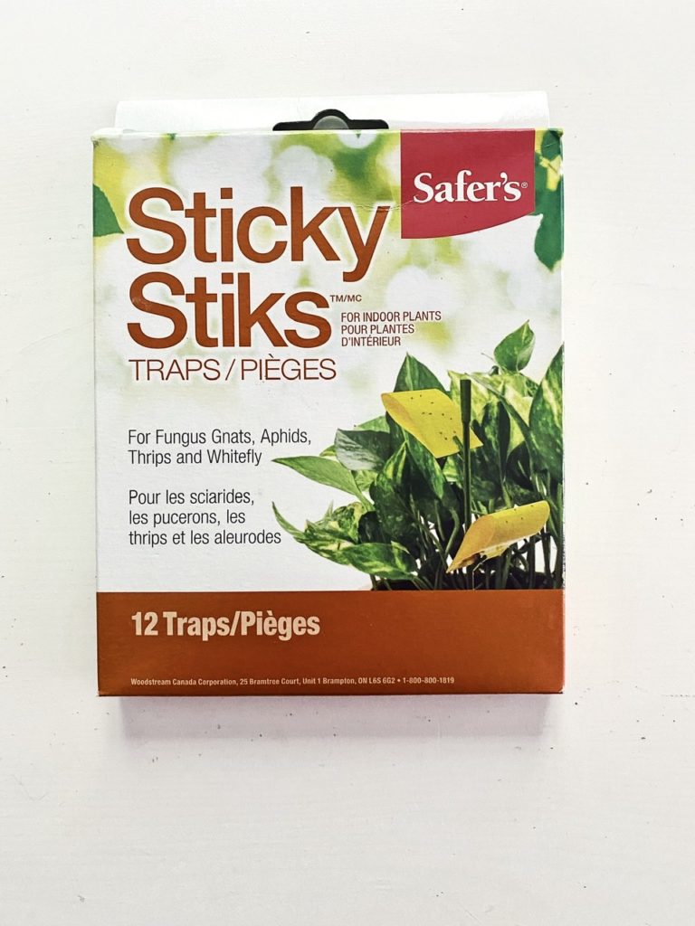 Sticky Traps for Fungus Gnats